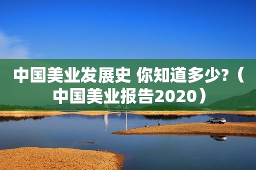 中国美业发展史 你知道多少?（中国美业报告2020）