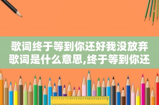 歌词终于等到你还好我没放弃歌词是什么意思,终于等到你还好我没放弃你