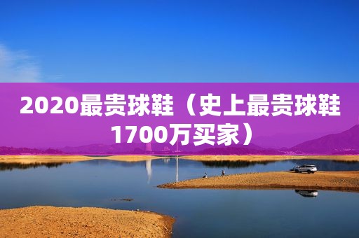 2020最贵球鞋（史上最贵球鞋1700万买家）