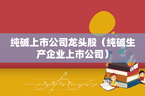 纯碱上市公司龙头股（纯碱生产企业上市公司）