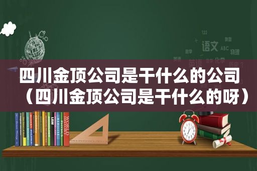 四川金顶公司是干什么的公司（四川金顶公司是干什么的呀）