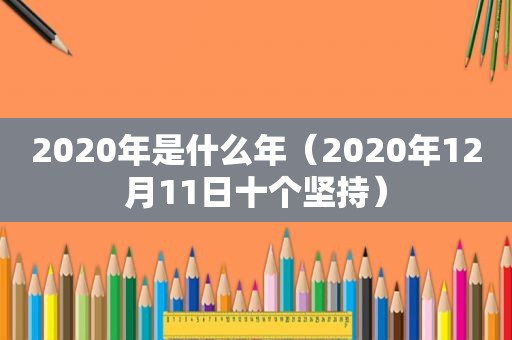 2020年是什么年（2020年12月11日十个坚持）