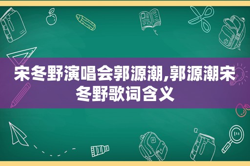 宋冬野演唱会郭源潮,郭源潮宋冬野歌词含义