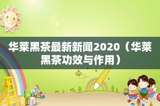 华莱黑茶最新新闻2020（华莱黑茶功效与作用）