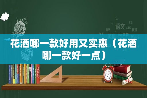 花洒哪一款好用又实惠（花洒哪一款好一点）