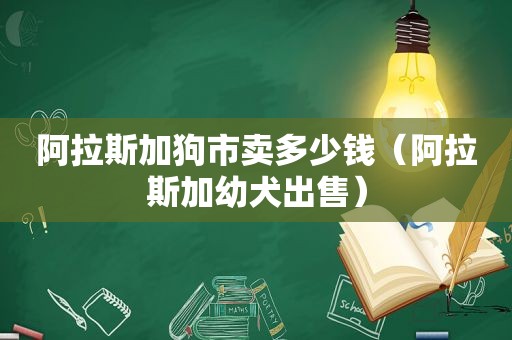 阿拉斯加狗市卖多少钱（阿拉斯加幼犬出售）