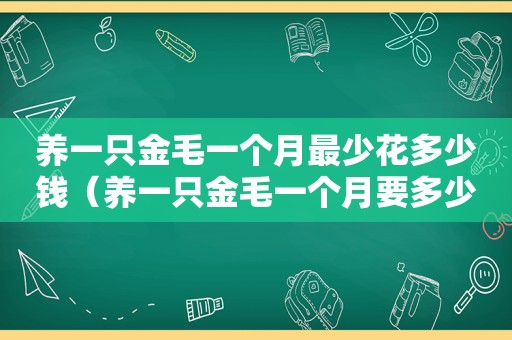 养一只金毛一个月最少花多少钱（养一只金毛一个月要多少钱一只）