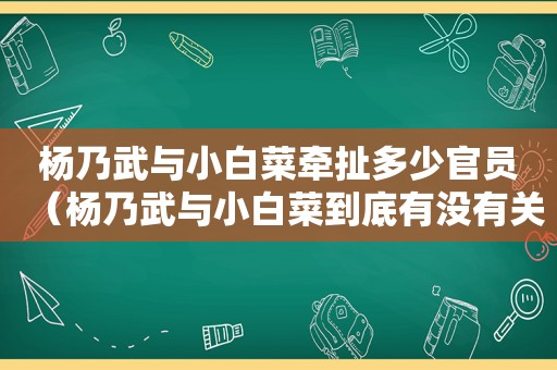 杨乃武与小白菜牵扯多少官员（杨乃武与小白菜到底有没有关系）