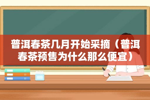 普洱春茶几月开始采摘（普洱春茶预售为什么那么便宜）