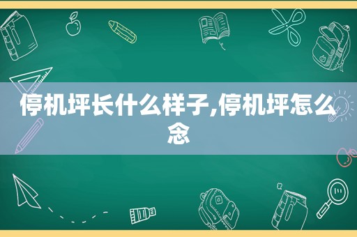 停机坪长什么样子,停机坪怎么念