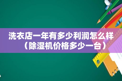 洗衣店一年有多少利润怎么样（除湿机价格多少一台）