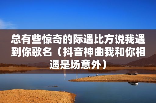 总有些惊奇的际遇比方说我遇到你歌名（抖音神曲我和你相遇是场意外）