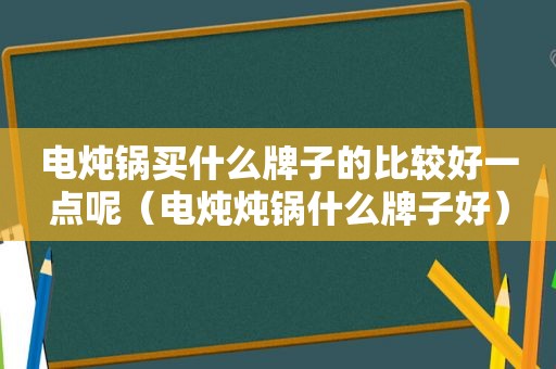 电炖锅买什么牌子的比较好一点呢（电炖炖锅什么牌子好）