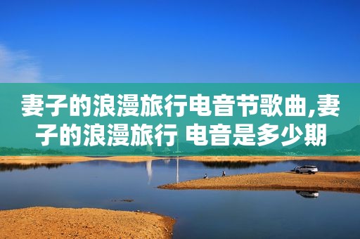 妻子的浪漫旅行电音节歌曲,妻子的浪漫旅行 电音是多少期