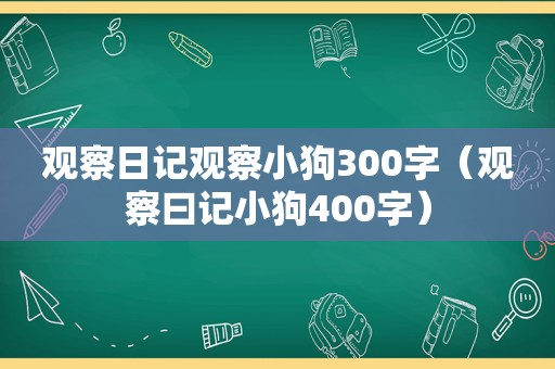 观察日记观察小狗300字（观察曰记小狗400字）