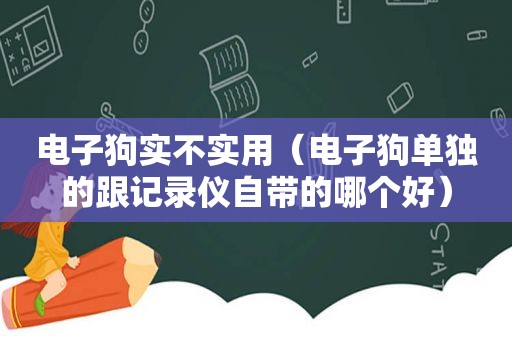 电子狗实不实用（电子狗单独的跟记录仪自带的哪个好）