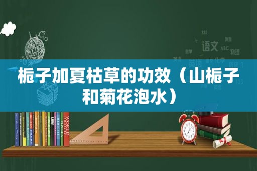 栀子加夏枯草的功效（山栀子和菊花泡水）