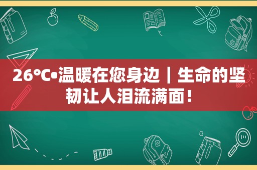 26℃•温暖在您身边｜生命的坚韧让人泪流满面！