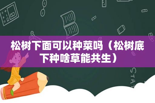 松树下面可以种菜吗（松树底下种啥草能共生）