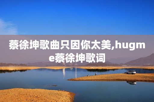 蔡徐坤歌曲只因你太美,hugme蔡徐坤歌词