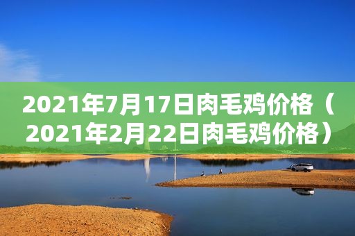 2021年7月17日肉毛鸡价格（2021年2月22日肉毛鸡价格）