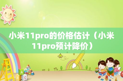 小米11pro的价格估计（小米11pro预计降价）