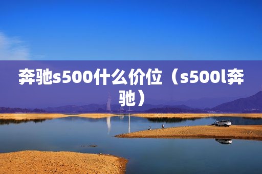 奔驰s500什么价位（s500l奔驰）