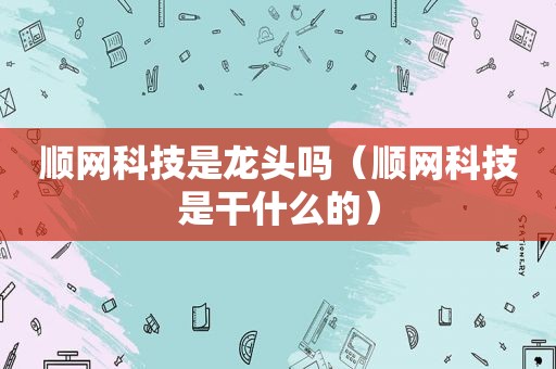 顺网科技是龙头吗（顺网科技是干什么的）