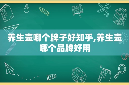 养生壶哪个牌子好知乎,养生壶哪个品牌好用