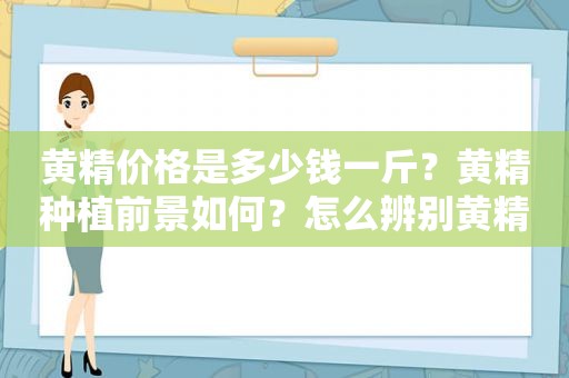 黄精价格是多少钱一斤？黄精种植前景如何？怎么辨别黄精品种？