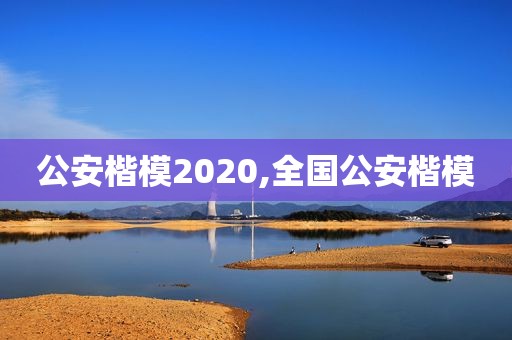 公安楷模2020,全国公安楷模