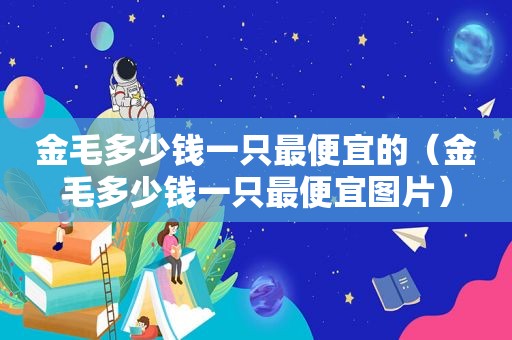 金毛多少钱一只最便宜的（金毛多少钱一只最便宜图片）