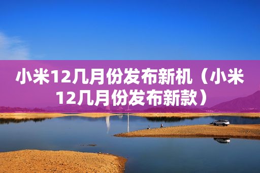 小米12几月份发布新机（小米12几月份发布新款）