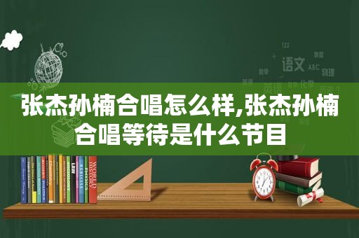 张杰孙楠合唱怎么样,张杰孙楠合唱等待是什么节目