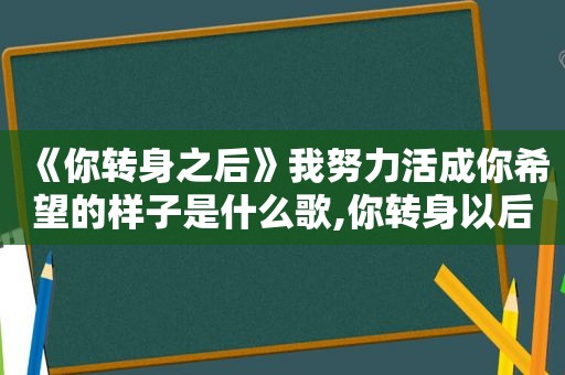 《你转身之后》我努力活成你希望的样子是什么歌,你转身以后