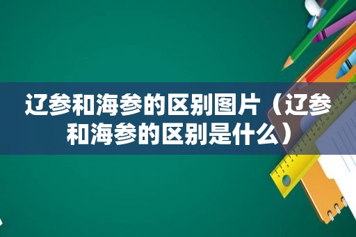 辽参和海参的区别图片（辽参和海参的区别是什么）