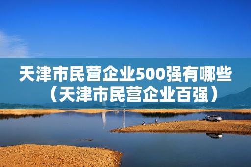 天津市民营企业500强有哪些（天津市民营企业百强）