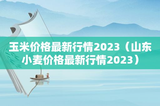 玉米价格最新行情2023（山东小麦价格最新行情2023）