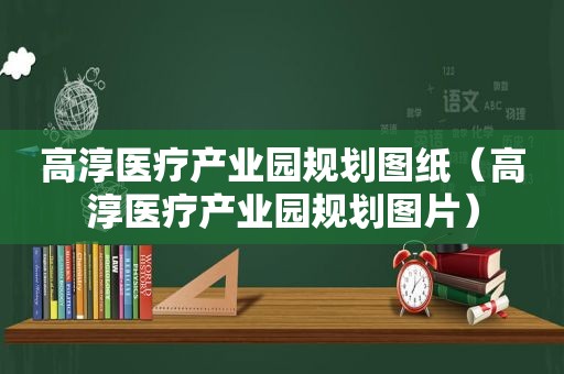 高淳医疗产业园规划图纸（高淳医疗产业园规划图片）