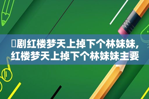 赿剧红楼梦天上掉下个林妹妹,红楼梦天上掉下个林妹妹主要内容