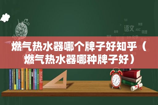 燃气热水器哪个牌子好知乎（燃气热水器哪种牌子好）