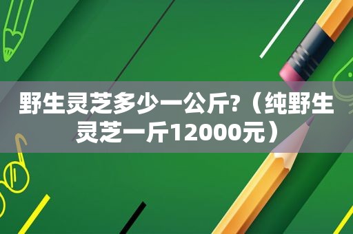 野生灵芝多少一公斤?（纯野生灵芝一斤12000元）