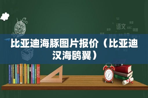 比亚迪海豚图片报价（比亚迪汉海鸥翼）