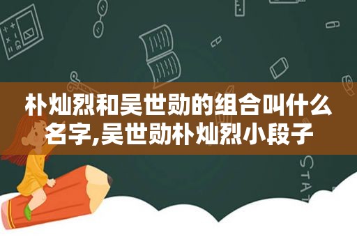 朴灿烈和吴世勋的组合叫什么名字,吴世勋朴灿烈小段子