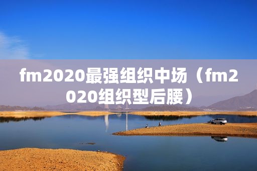 fm2020最强组织中场（fm2020组织型后腰）