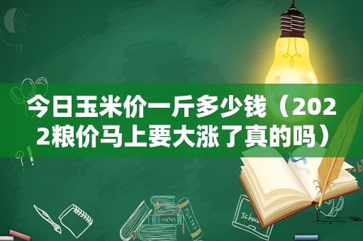 今日玉米价一斤多少钱（2022粮价马上要大涨了真的吗）