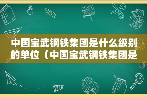 中国宝武钢铁集团是什么级别的单位（中国宝武钢铁集团是什么级别的企业）