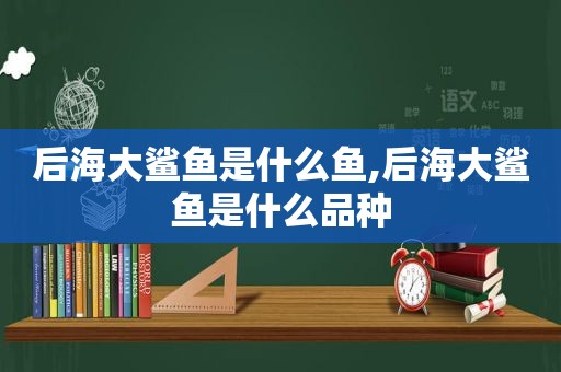 后海大鲨鱼是什么鱼,后海大鲨鱼是什么品种