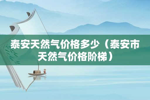 泰安天然气价格多少（泰安市天然气价格阶梯）