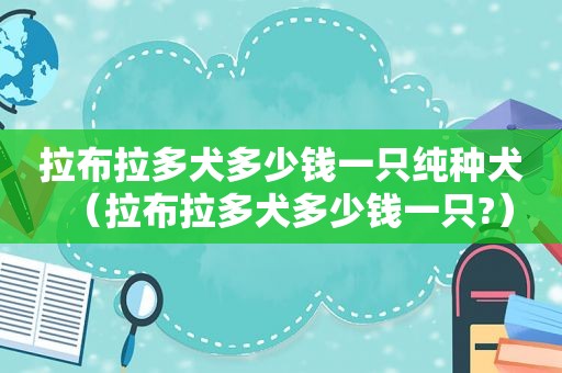 拉布拉多犬多少钱一只纯种犬（拉布拉多犬多少钱一只?）